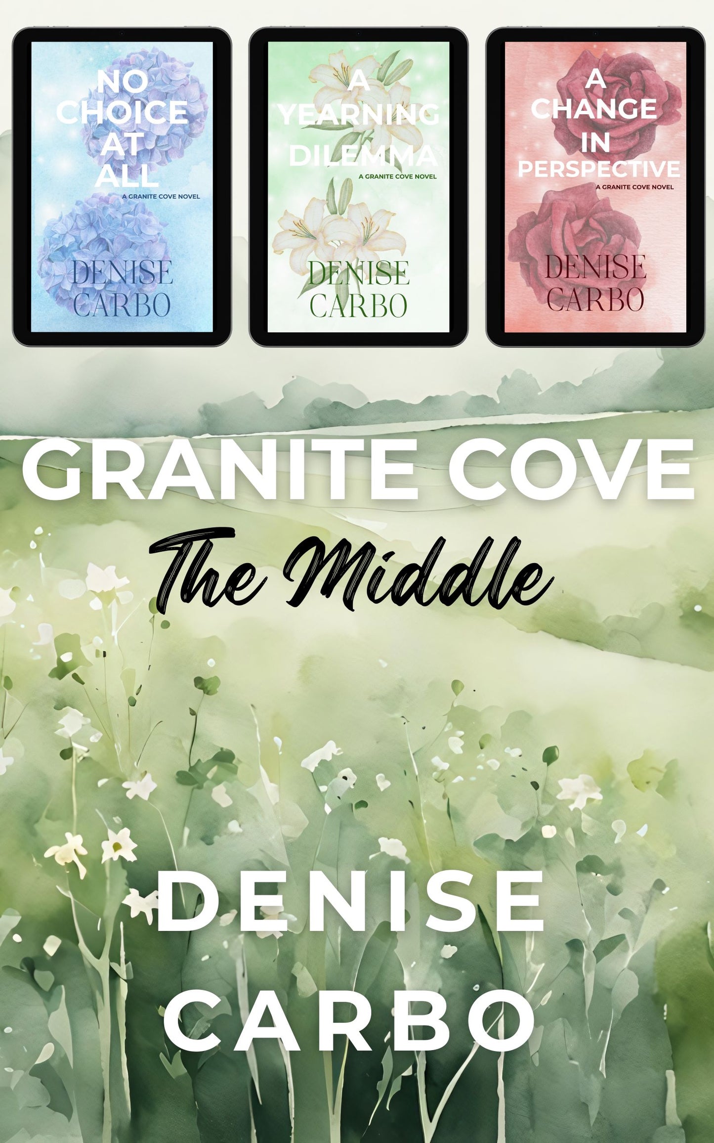Book cover Granite Cove The Middle