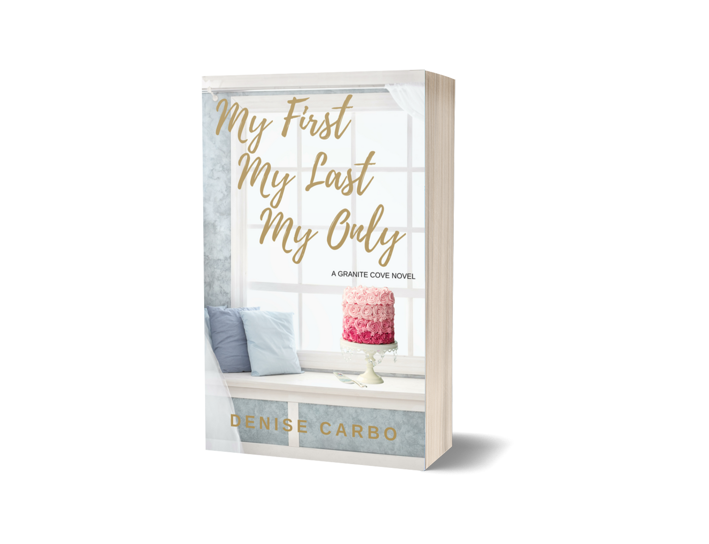 My First My Last My Only paperback cover