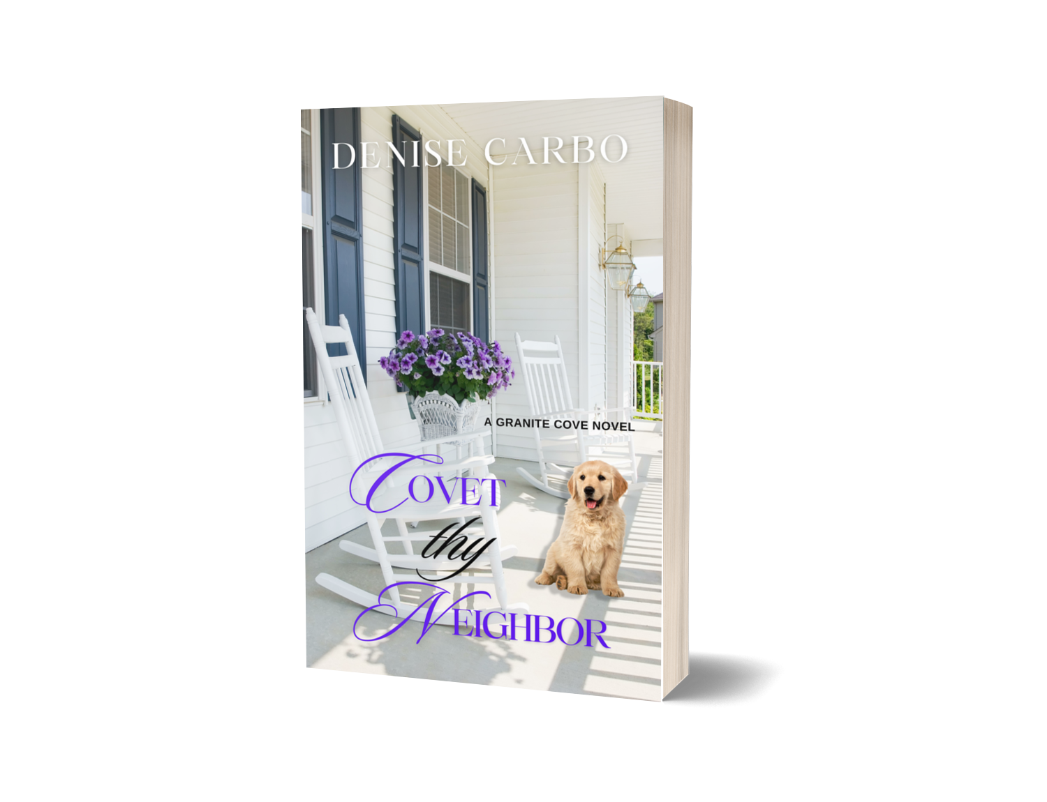Covet thy Neighbor paperback cover
