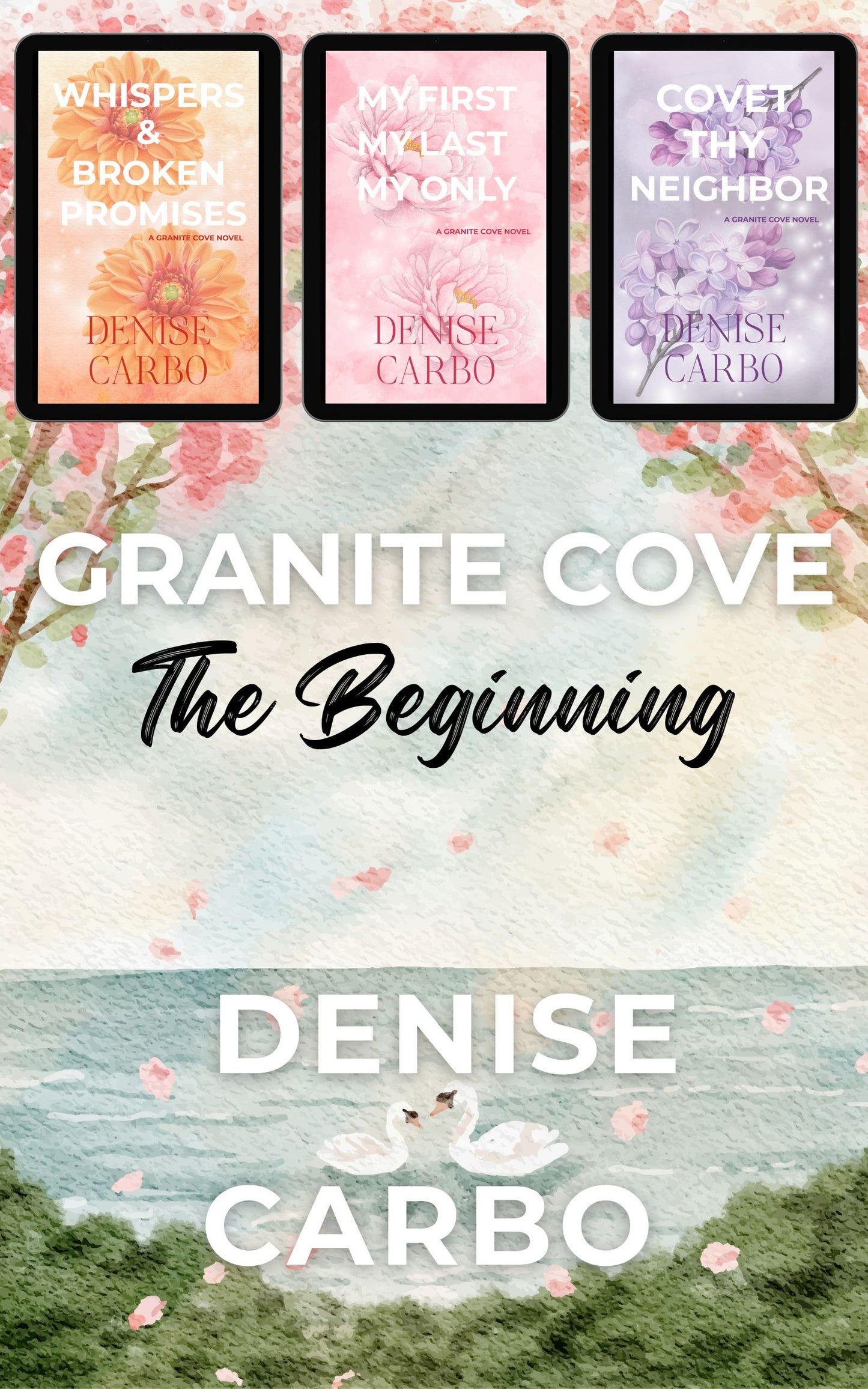 Granite Cove The Beginning book cover